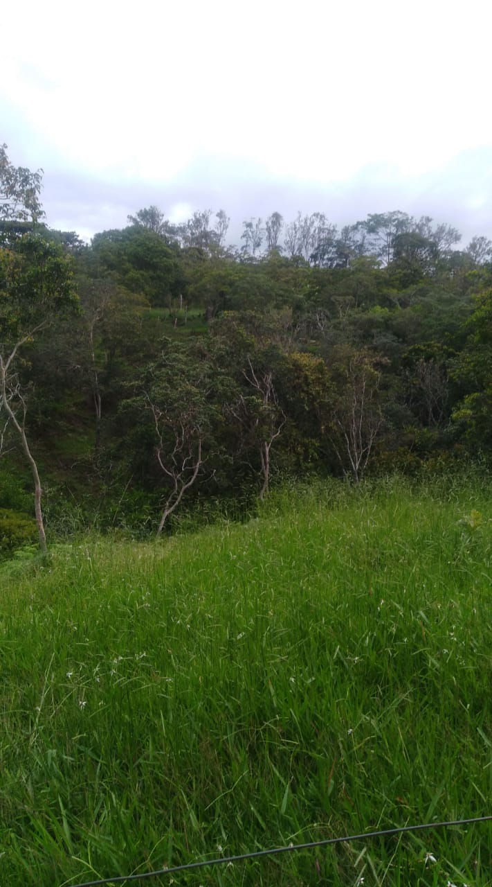 Miniatura: Finca en venta Loma de la Cruz