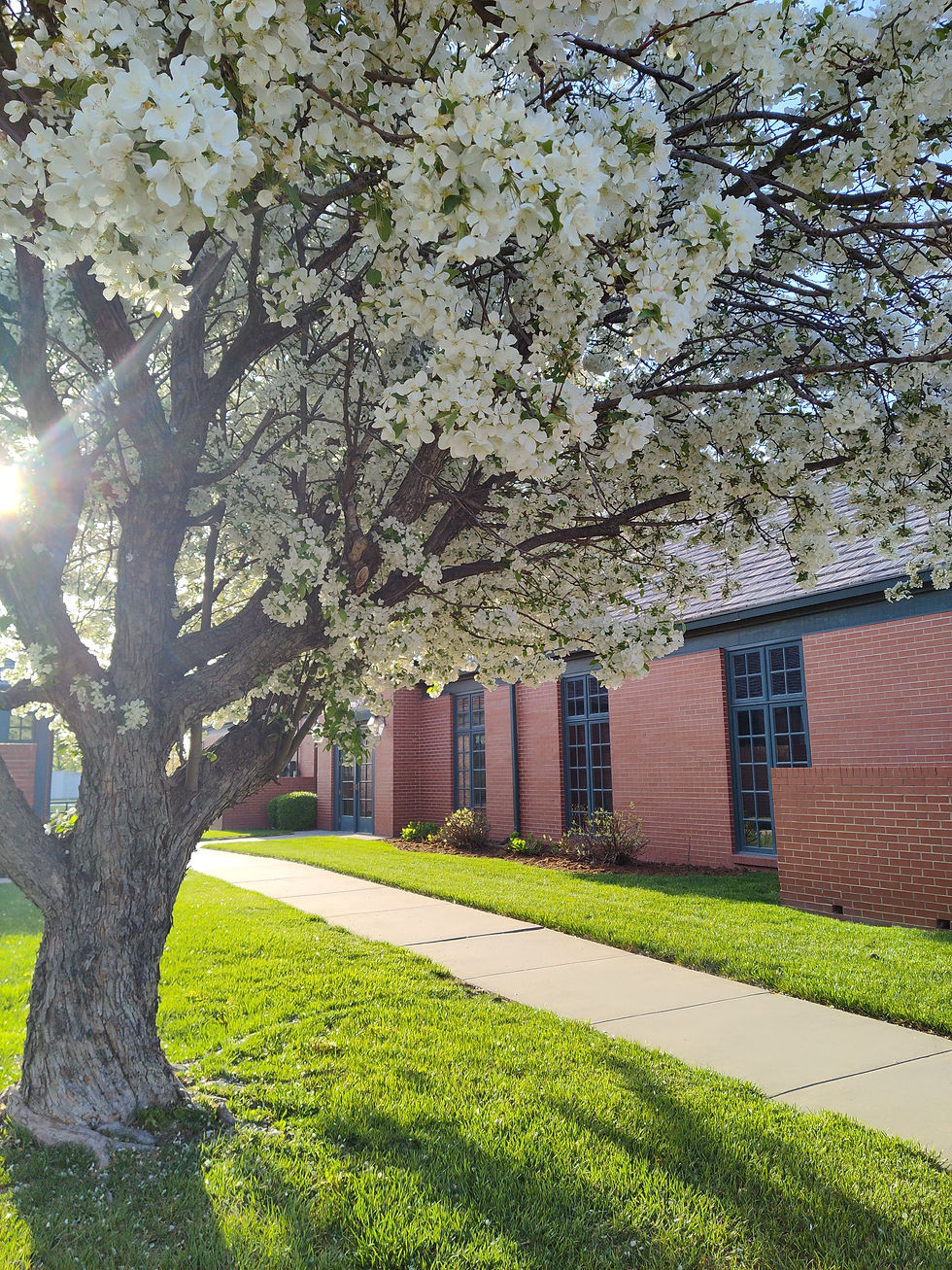 Spring at Cornerstone