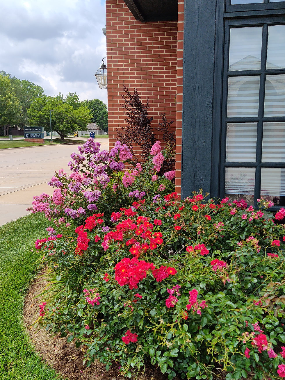 Colorful Landscaping