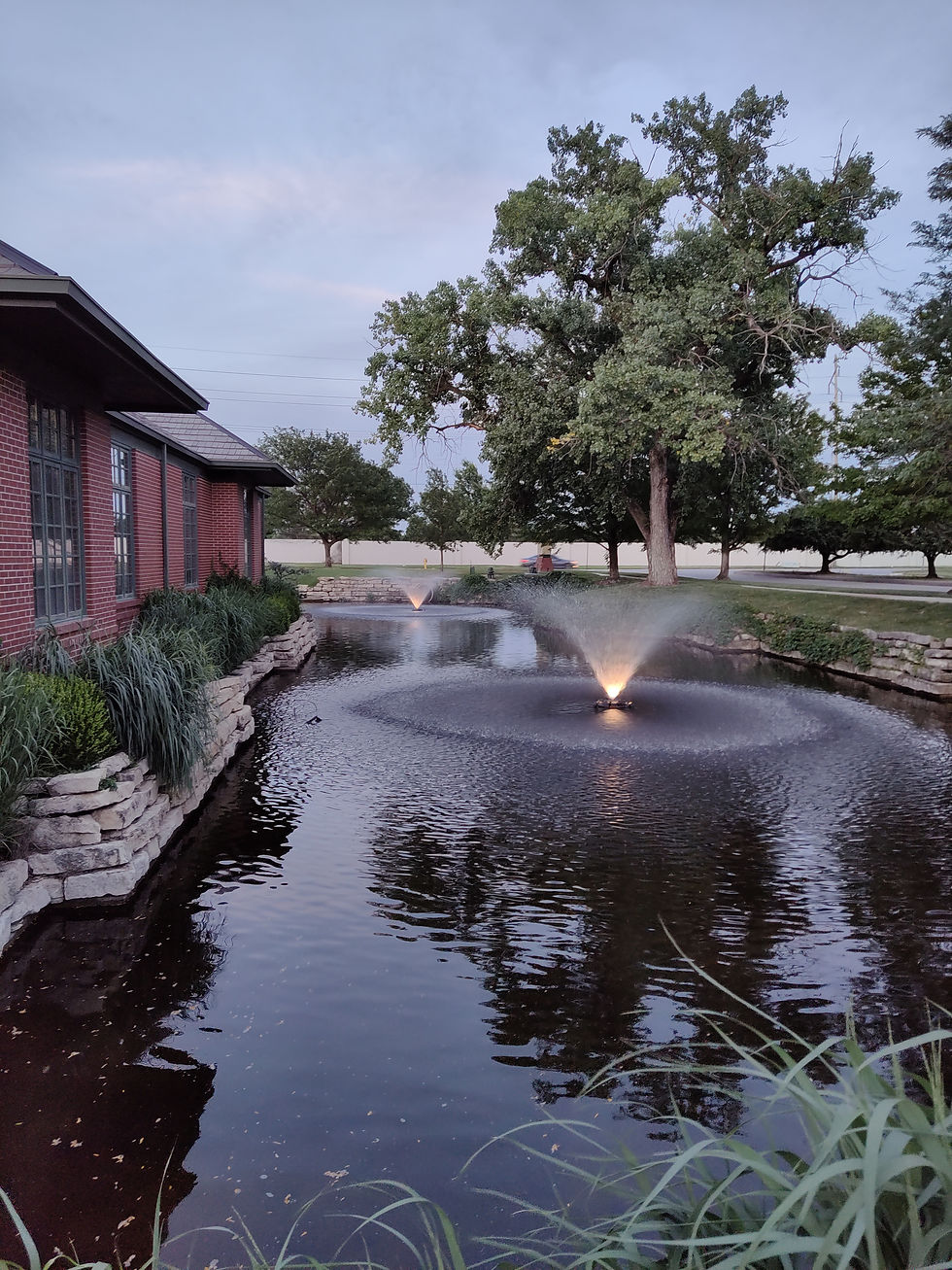 Fountains at Night