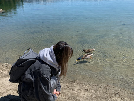 Whines and Pet Peeves