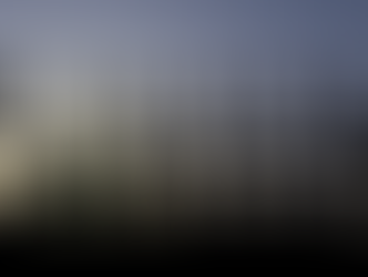 How to Successfully Navigate Career Changes and Transitions