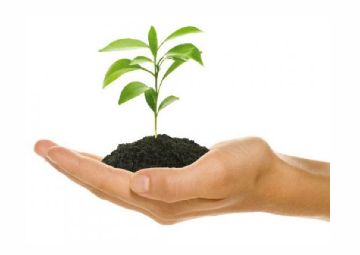 Miglioramento e crescita personale