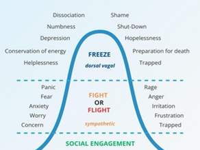 From Awareness to Action: Understanding Your Three Nervous System States