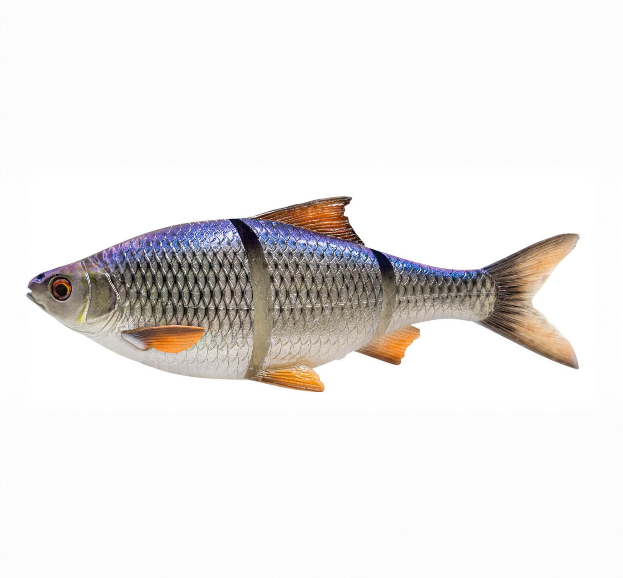 3D LT ROACH 25CM 206G SLOW SINKING BLUE ROACH