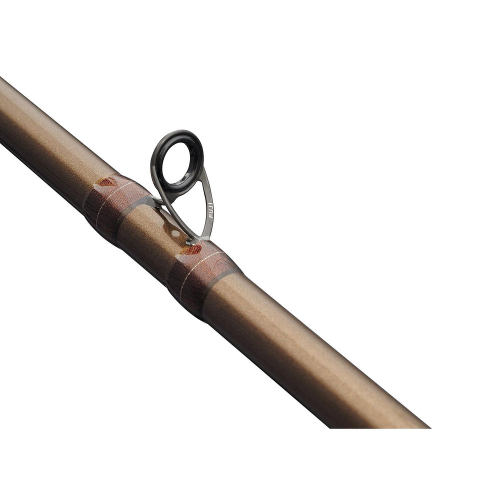 Miniature : Canne casting Abu Garcia Beast Pro 802 XXH 50-200g