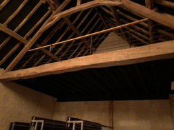 IMG_9296.jpeg