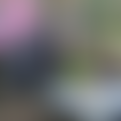 Year 4 Forest school