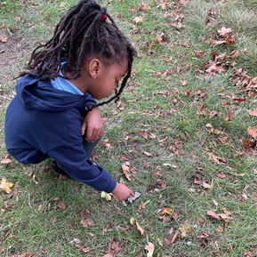 Counting natural objects.