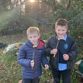 Year 3 Forest school