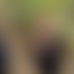 Year 5/6 at Forest School