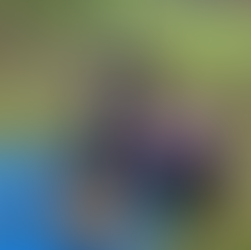 Year 5/6 Forest School