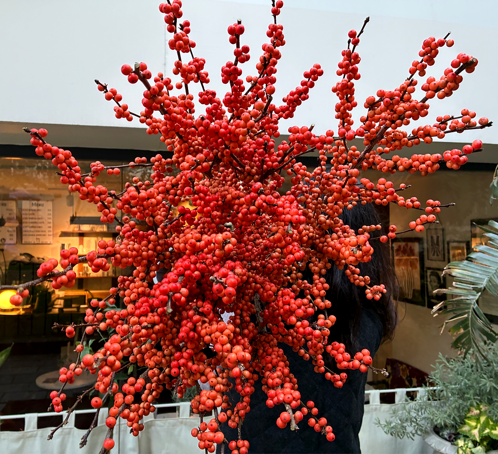 Cinnamon Yeni Yıl Ilex Aranjman