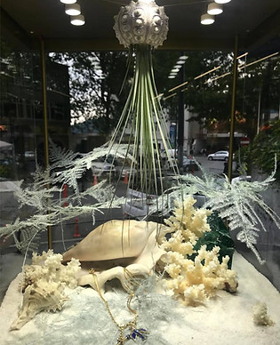 PARLA FLOWER ART SEA FLOWERS_edited.jpg