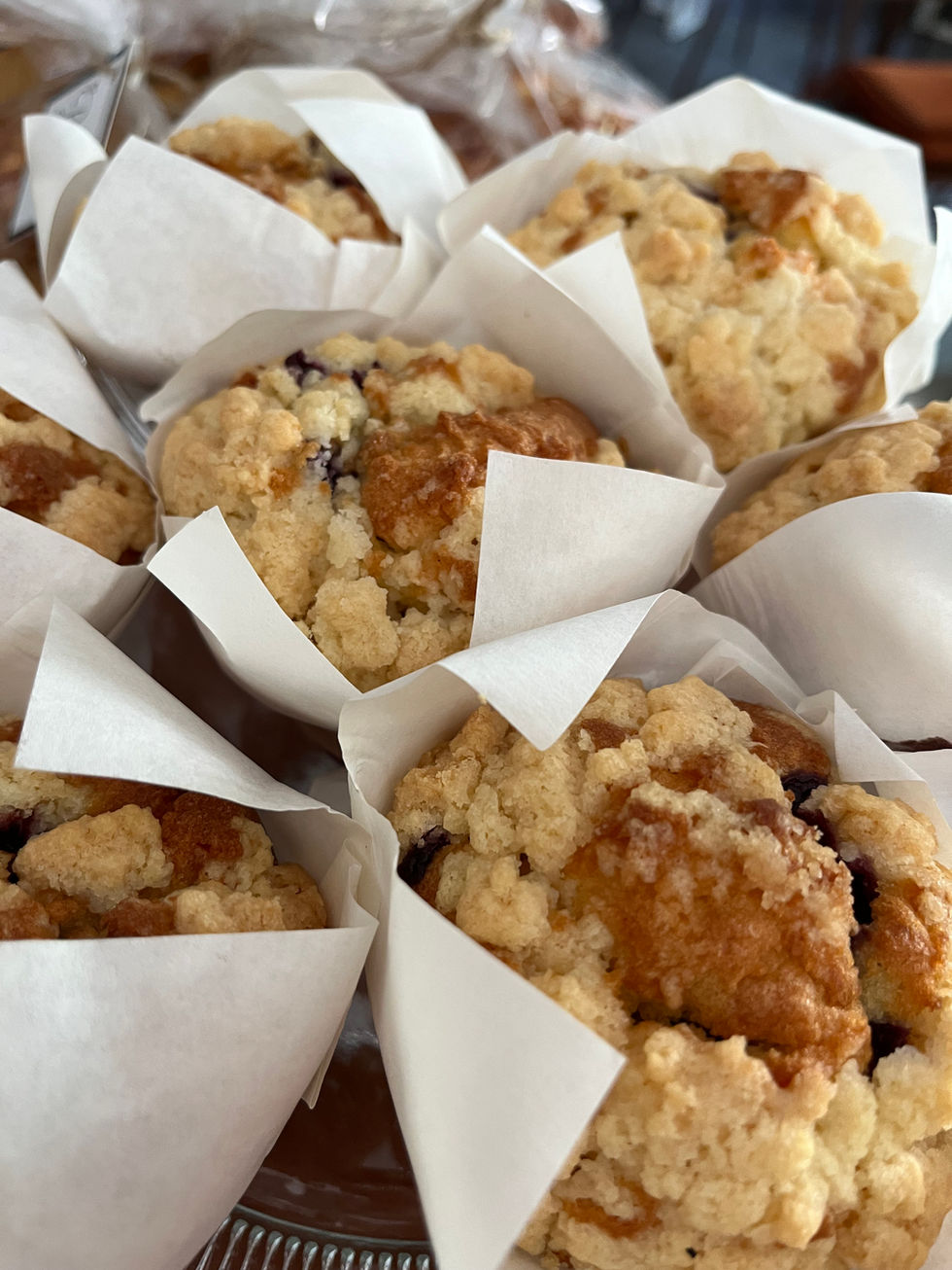 Blueberry Muffin
