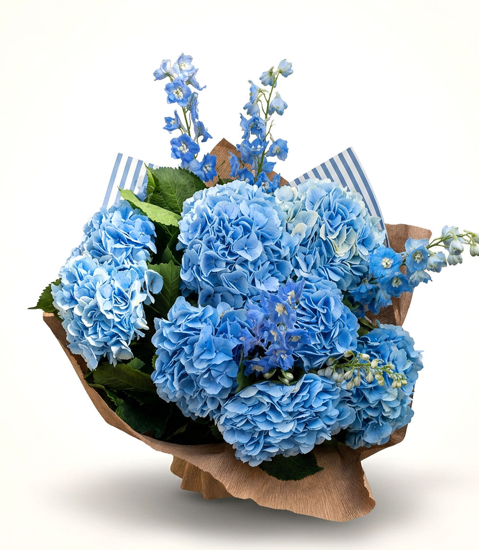 Mare Baby Blue | Mavi Ortanca & Delphinium Buketi