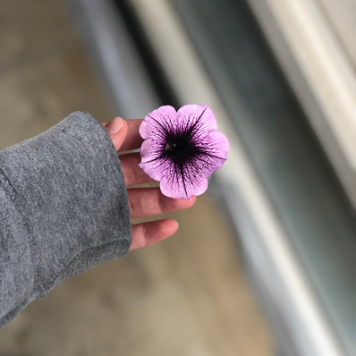 Flower in Hand by Kennedy