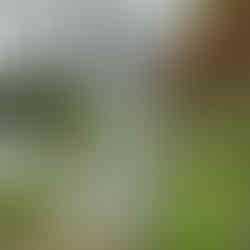 white silver moongazey hare glass mosaic garden sculture