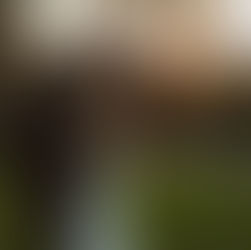 The Charleston Wedding Aesthetic Everyone Is Obsessed With — And the Music That Brings It to Life 🎶