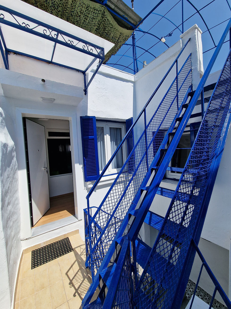 Blue House