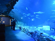 Aquarium de paris évènement