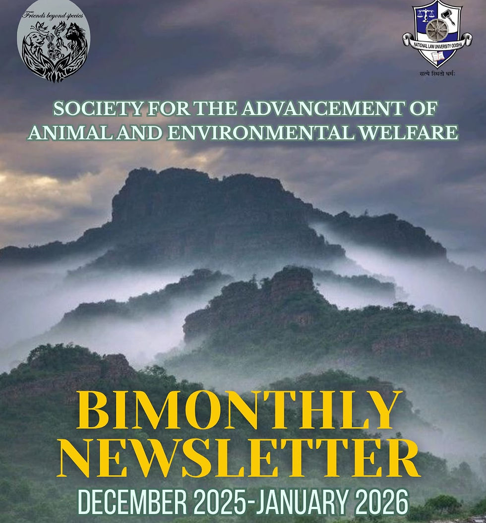 SAAEW Bimonthly Newsletter | December 2025– January 2026