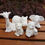 Thumbnail: Ceramic cute animal giraffe elephant hippo bear cub lion cub figures close up view
