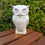 Thumbnail: Owl sculpture trail ceramic figure front view