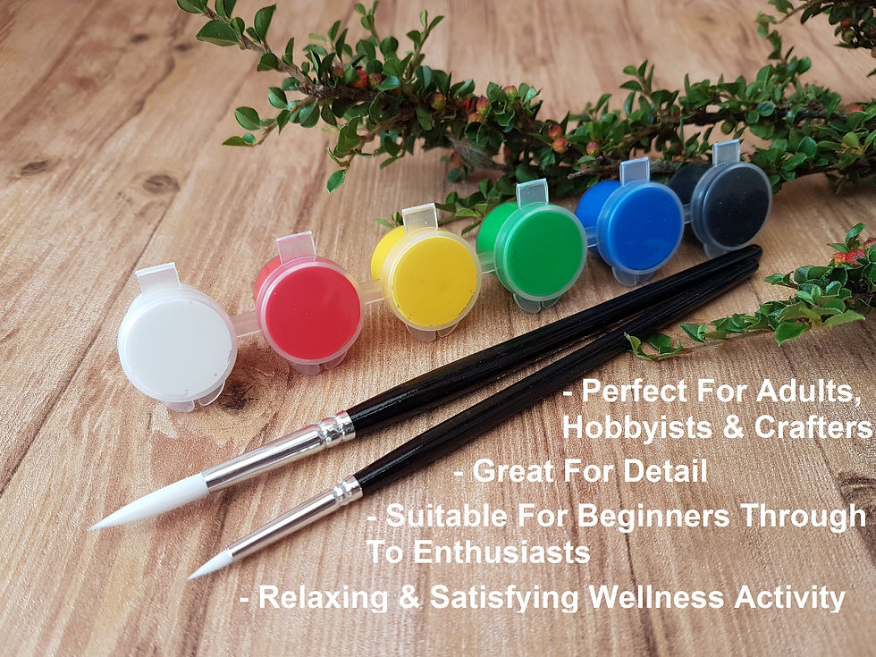 Thumbnail: Strip of 6 different coloured paints with two detail paintbrushes for adults