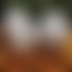 Ceramic bisque pair of pumpkins