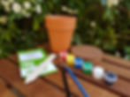 Terracotta plant pot painting and seed growing kit with seeds, plant label, paints, paintbrushes and soil pellet