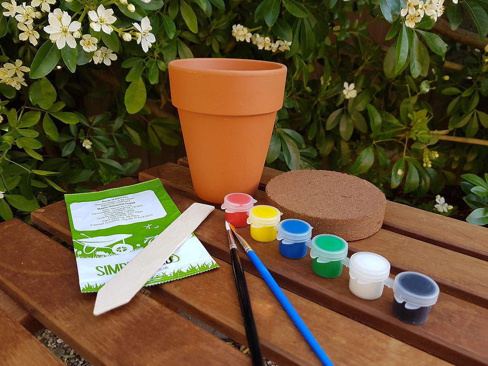 Terracotta plant pot painting and seed growing kit with seeds, plant label, paints, paintbrushes and soil pellet