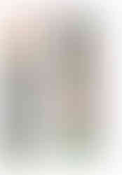 BBC Gardeners World Magazine article featuring ArtyPax's paint your own ceramic kitten and puppy gonk gnome figures