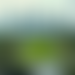 Inteligência Territorial: Tendências e Inovações na Arquitetura