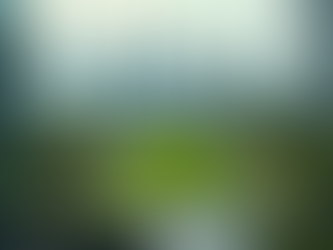 Inteligência Territorial: Tendências e Inovações na Arquitetura