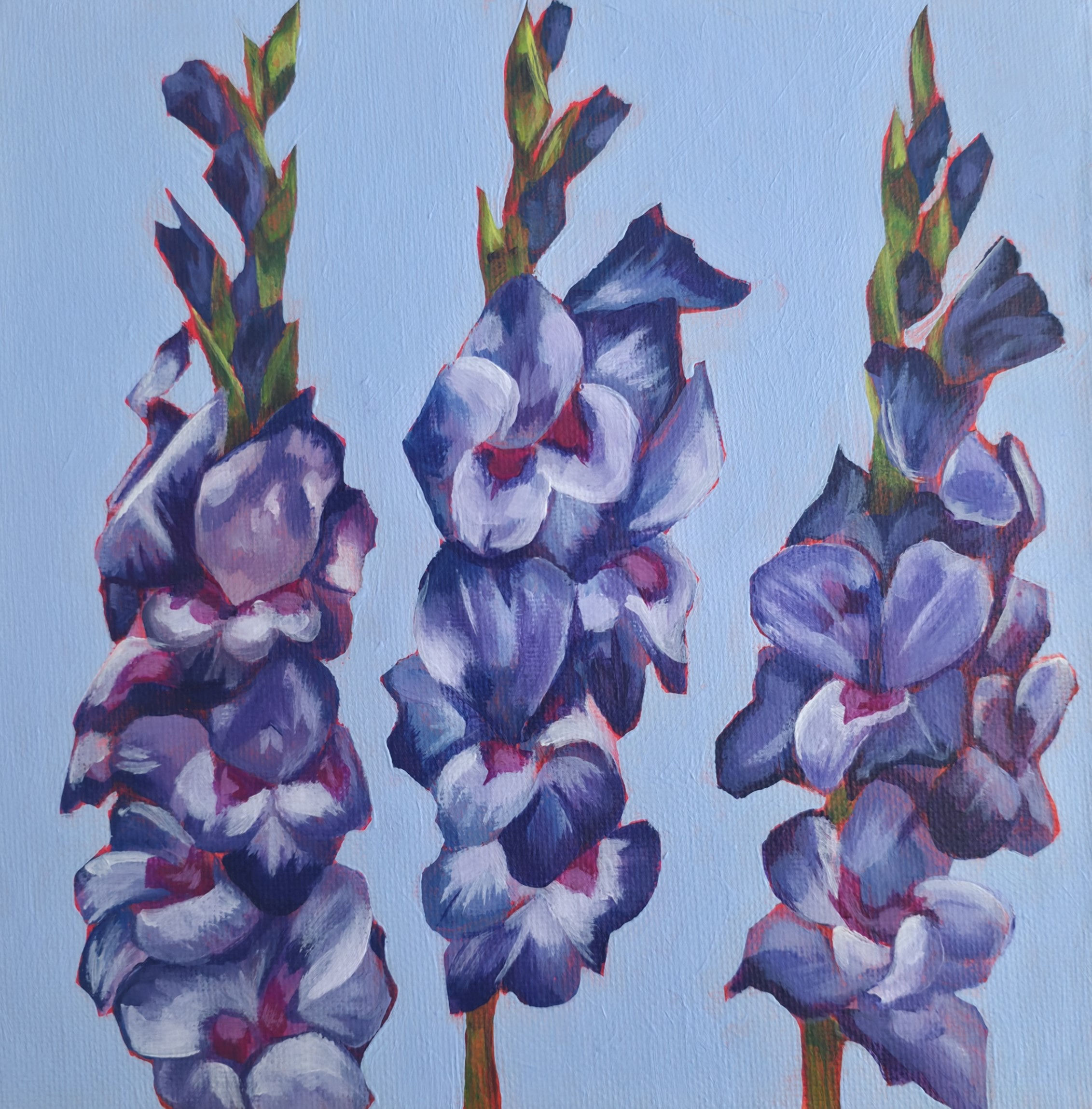Gladioli - PRINT