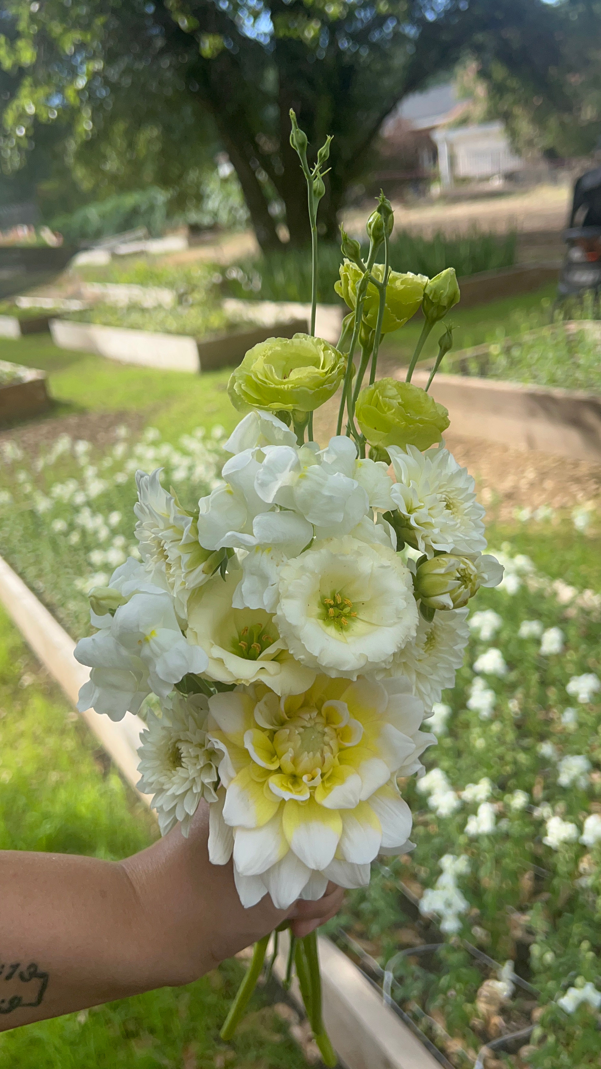 3 Month Flower Subscription