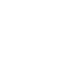 Logo Blog_white.png