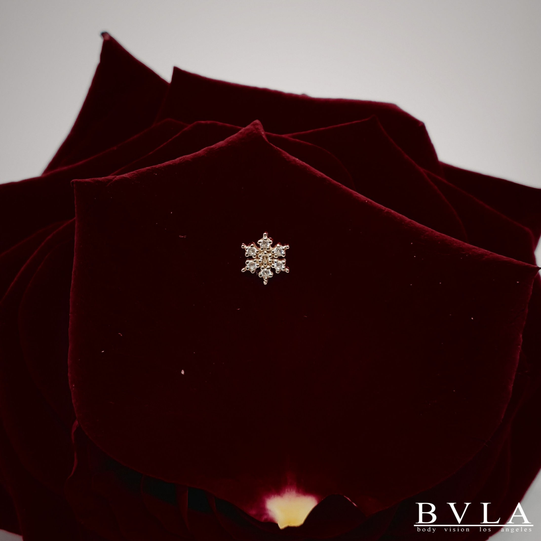 BVLA - Gold Snowflake