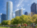 DALLAS DOWNTOWN.jpg
