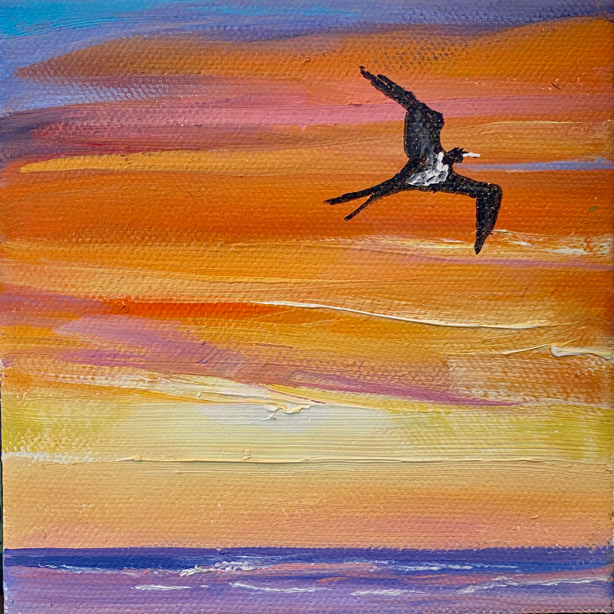 "Iwa Bird Sunset"- Maui