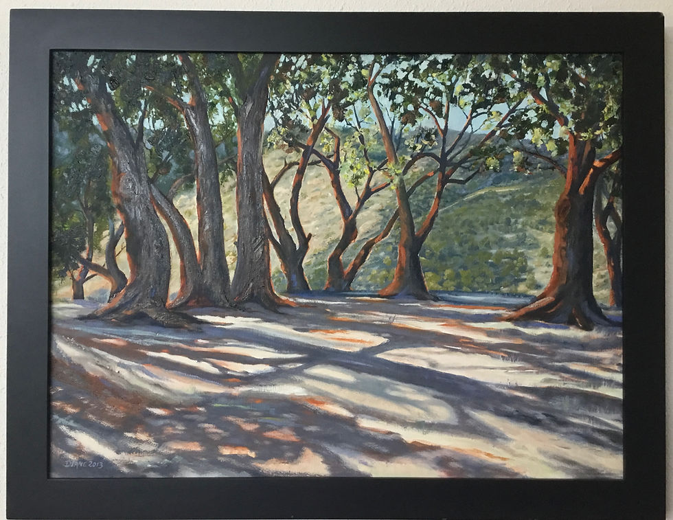 Thumbnail: Picchetti Orchard Hill - California