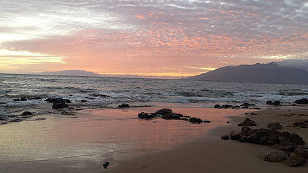 Wiggers point (002).jpg