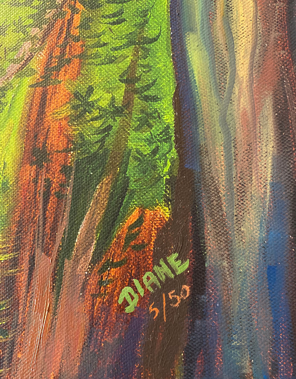 Thumbnail: Into the Rainbow Eucalyptus