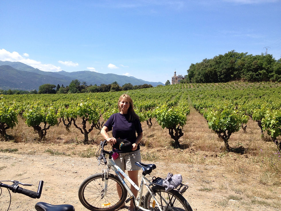 Chateau Ceret France with vineyards