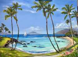 Ulua Beach as my clients see it