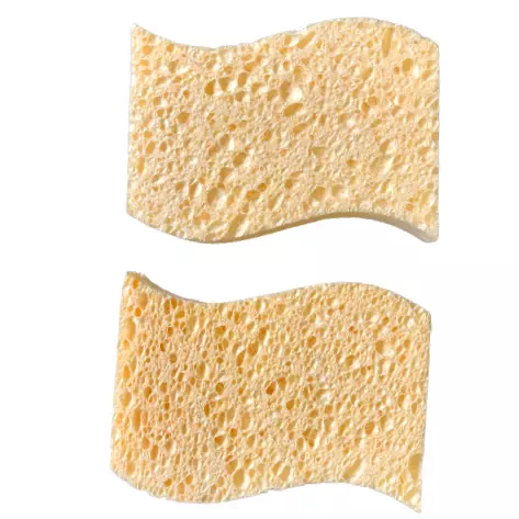 Thumbnail: biodegradable wood pulp cellulose sponges