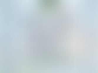 Беларусь, с Днём народного единства!