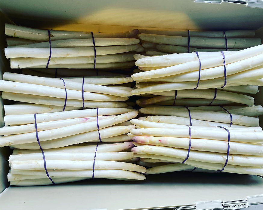 Tasmanian White Asparagus