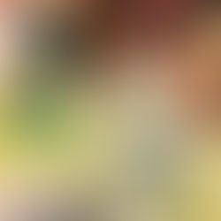 Step into the Magic: Join Us for Princess Tiana's Black History Month Celebration Pop-Up in Jersey City!